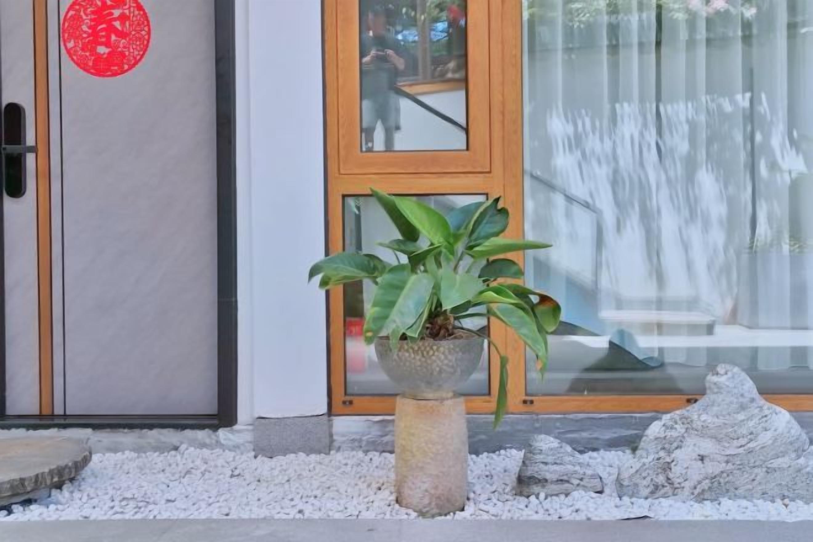 Una planta en maceta frente a la entrada de un edificio con puerta de cristal y un letrero circular rojo.