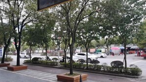 A street view with trees, parked cars, and a pedestrian crossing. - Lianfa Guesthouse (Lingchuan)