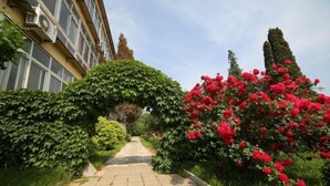 Un sendero bordeado de vegetación exuberante y plantas en flor, que conduce a un edificio con ventanas amplias y unidades de aire acondicionado.