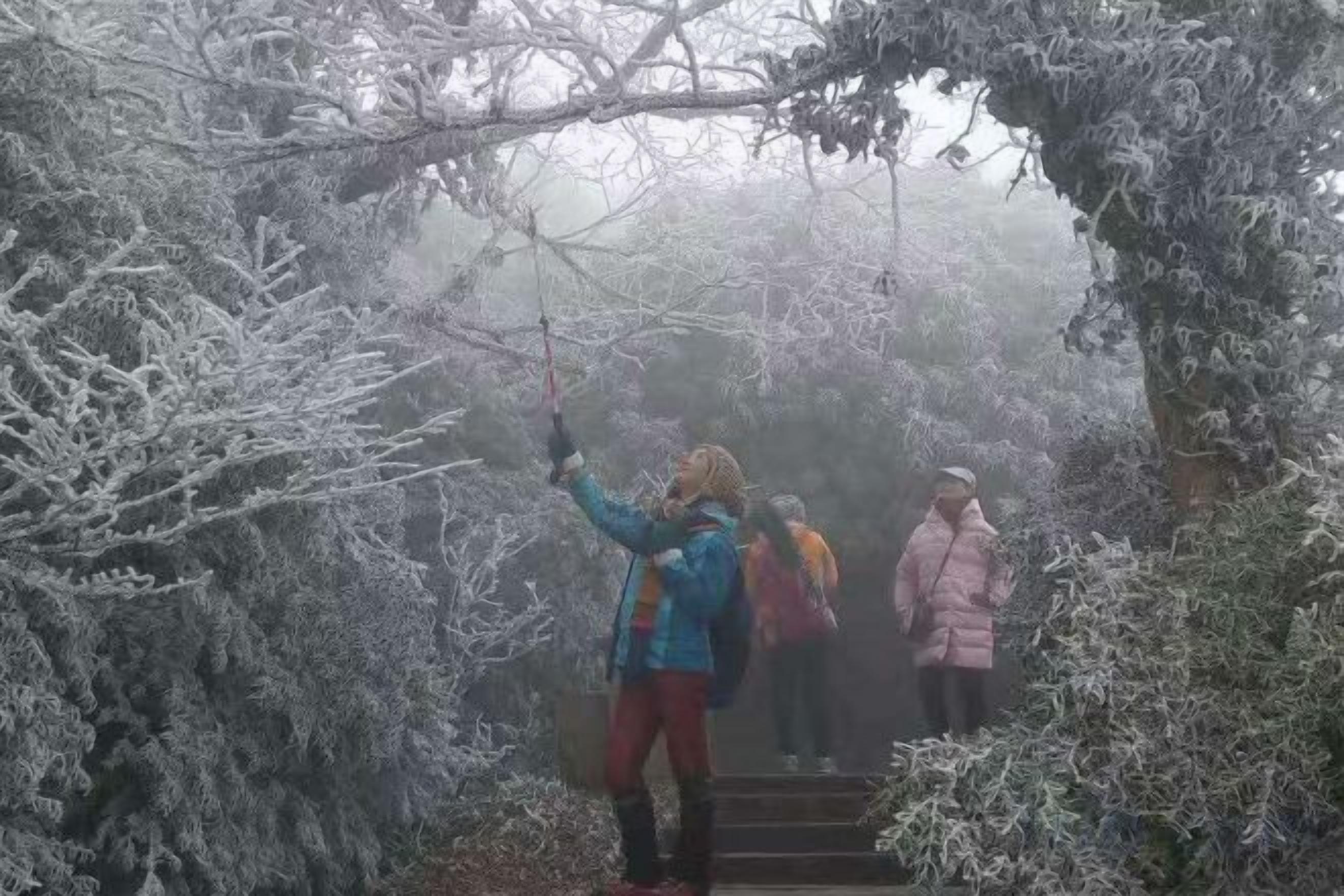 A group of people standing on a staircase surrounded by frosted trees.