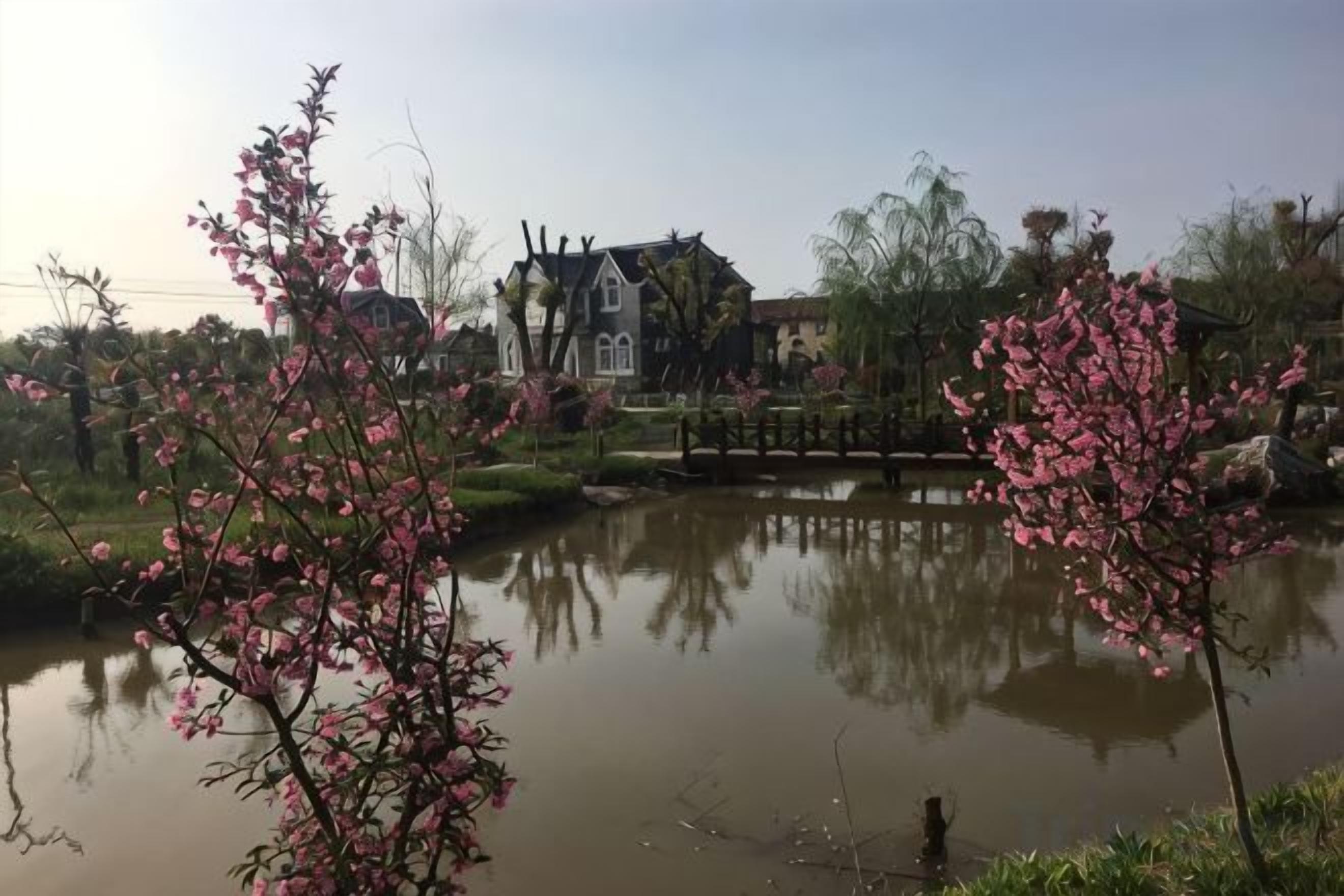 A serene pond with reflections, surrounded by blooming trees and a traditional house in the background.