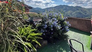Un jardín en la azotea con vistas a montañas, una silla y una planta en maceta.