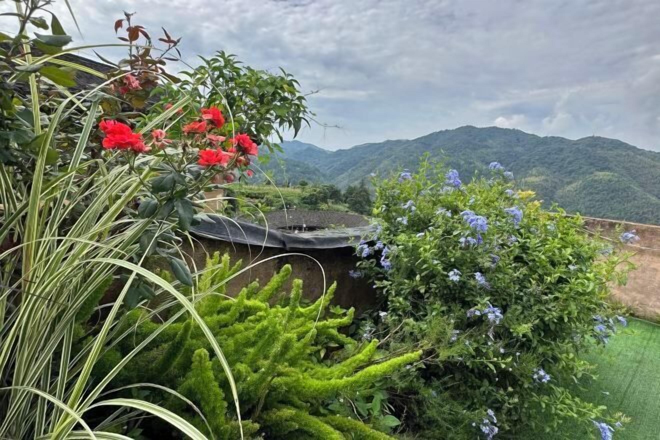 花园