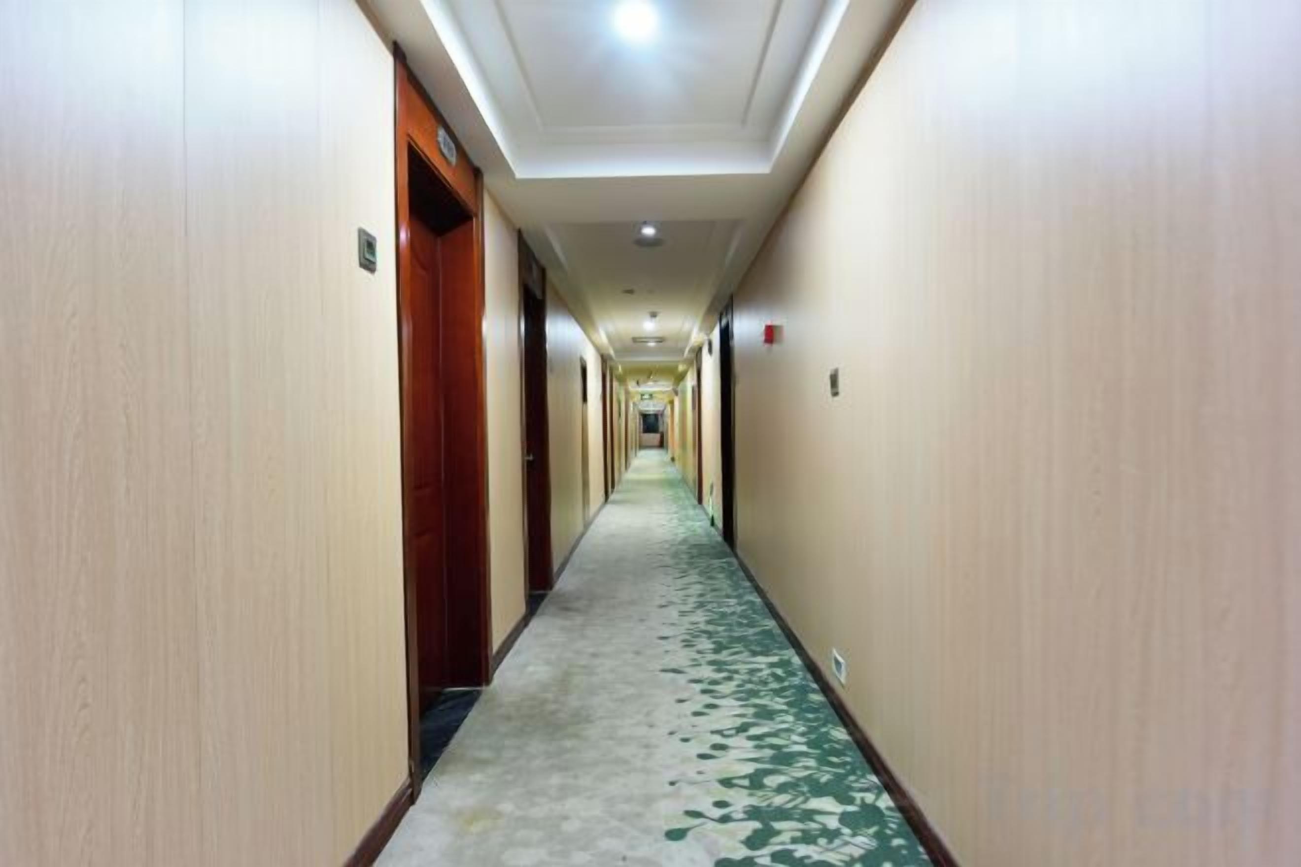 A hotel hallway with carpeted floors, doors on both sides, and a ceiling light.