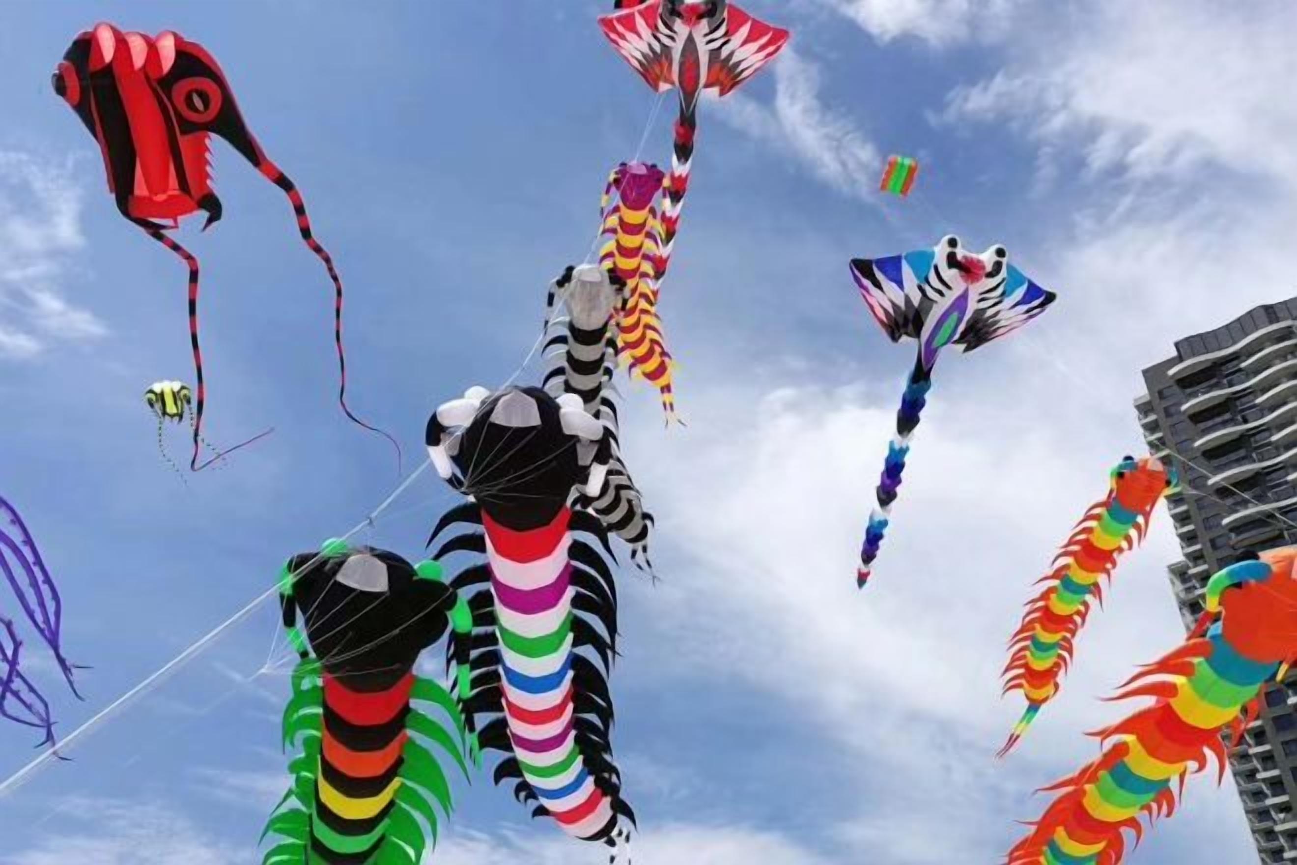 A variety of kites flying against a clear sky.