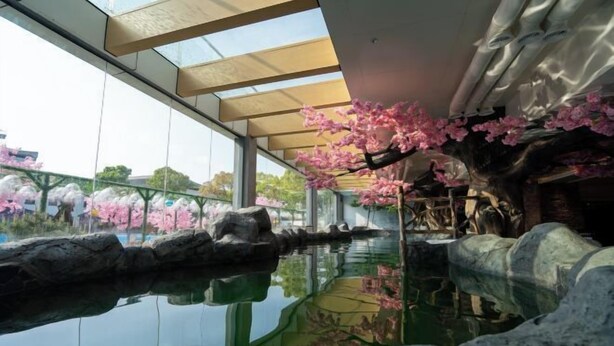 A tranquil indoor garden with a reflective water feature, a glass ceiling, and cherry blossoms. - Yihaoquan Piaofu Hot Spring Hotel (Lujiang)