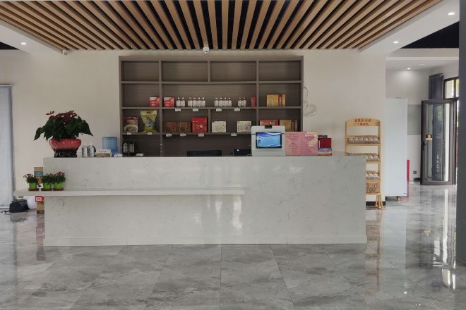 A reception desk with a marble counter, shelves with various items, and a potted plant.