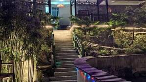 Eine Treppe führt zu einem Hauseingang, umgeben von Pflanzen und dekorativer Beleuchtung.