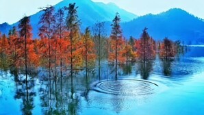 Ein ruhiger See mit herbstlich gefärbten Bäumen und Bergen im Hintergrund.