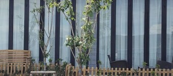 HillSea Green Holiday Inn , Dali