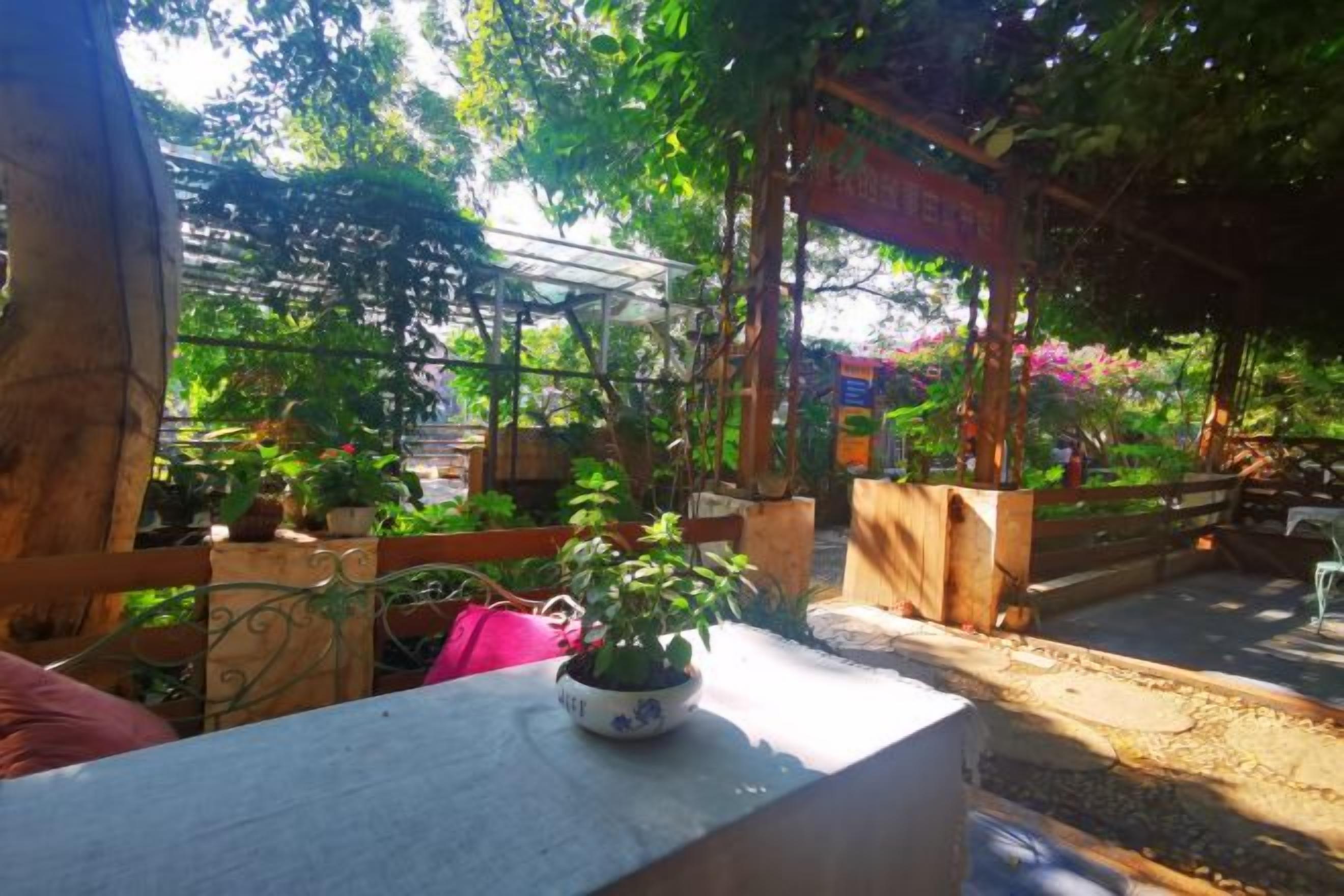 An outdoor seating area with wooden benches and potted plants.