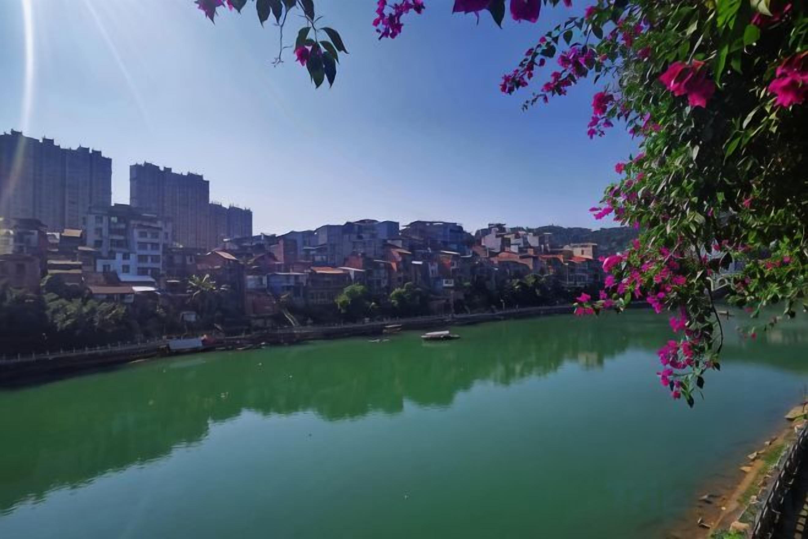 A river with buildings in the background, a bridge, and pink flowers in the foreground.