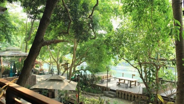 A lush outdoor area with a wooden deck, umbrellas, and seating. - Goose city story (Baise)