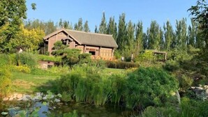 A traditional wooden house surrounded by lush greenery and a small pond. - Goose city story (Baise)