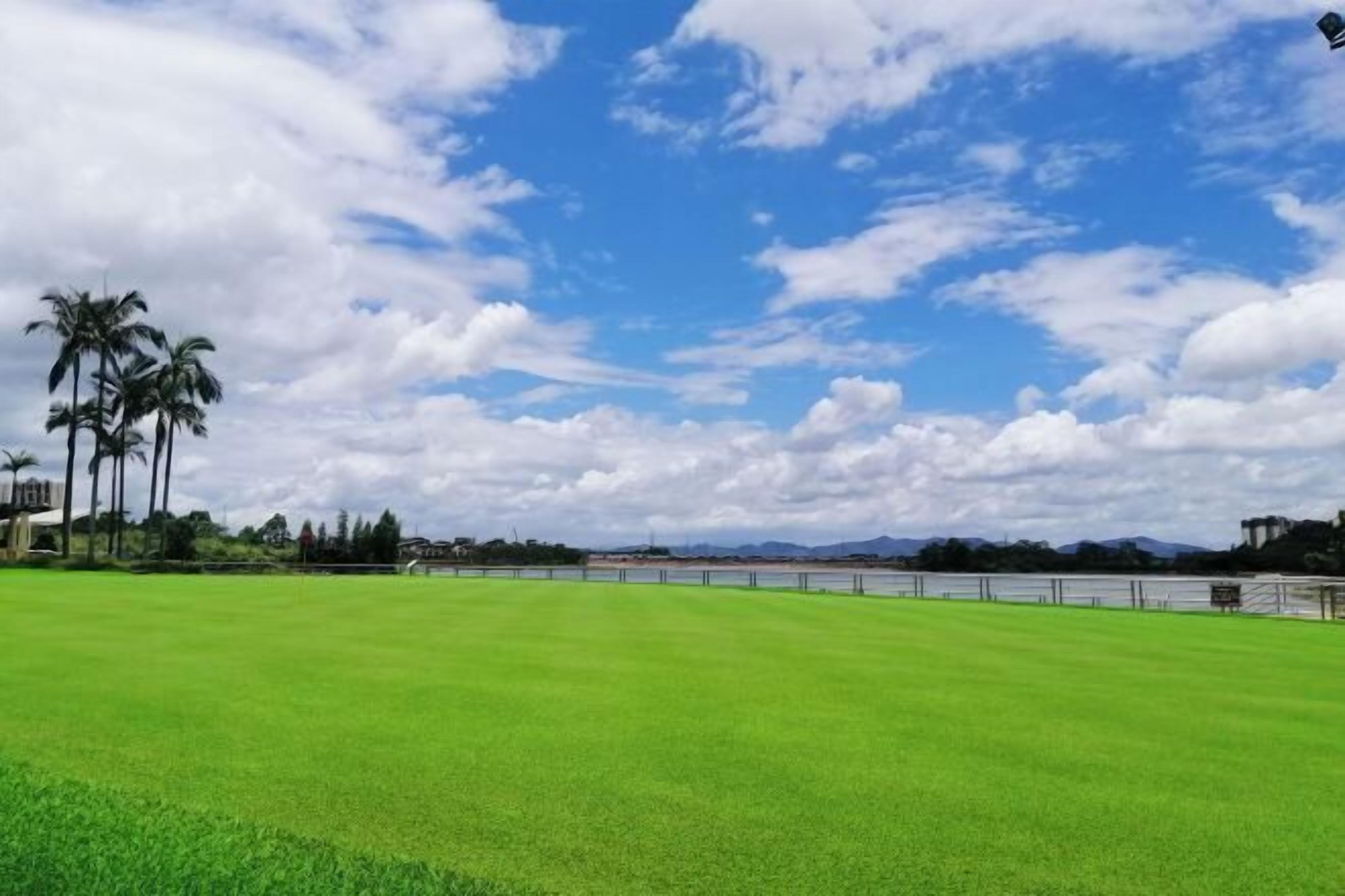 A wide, open grassy area with a clear sky and palm trees in the background.