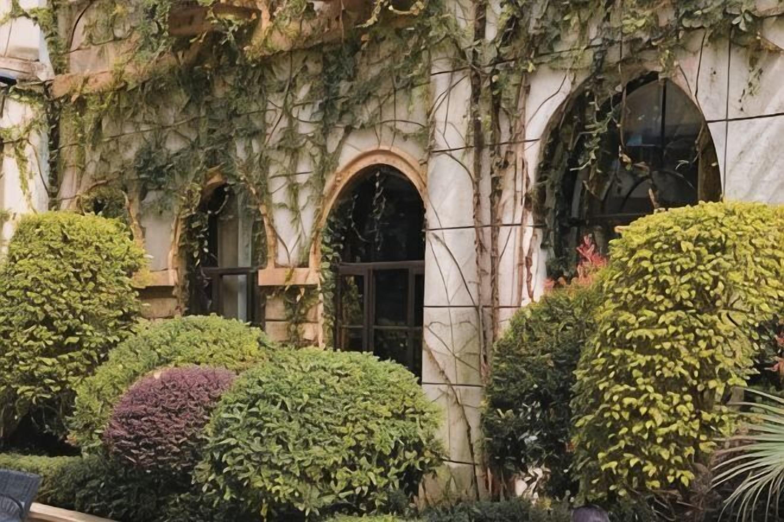 Um edifício com janelas em arco e paredes cobertas de hera.