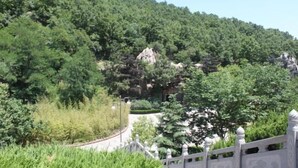 Üppige grüne Landschaft mit einem Steinweg, der zu einem traditionellen Gebäude führt.
