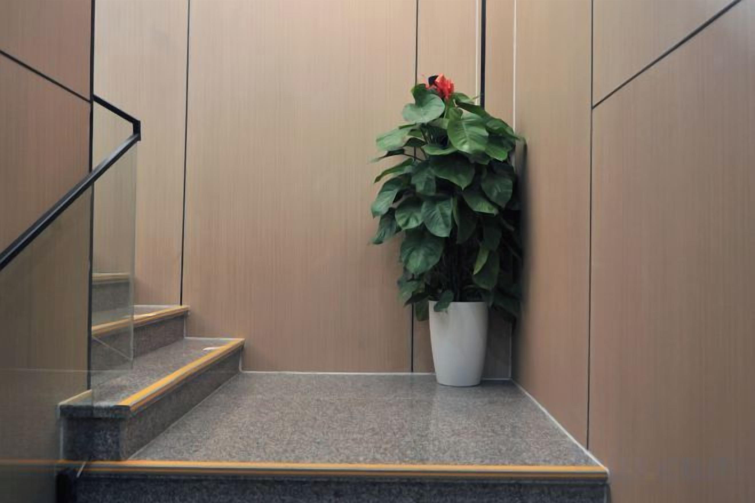 A staircase with a potted plant and a metal railing.