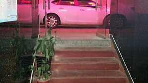 Eine Treppe mit Blumentöpfen, die zu einem rosafarbenen Auto innerhalb eines Gebäudes führt.