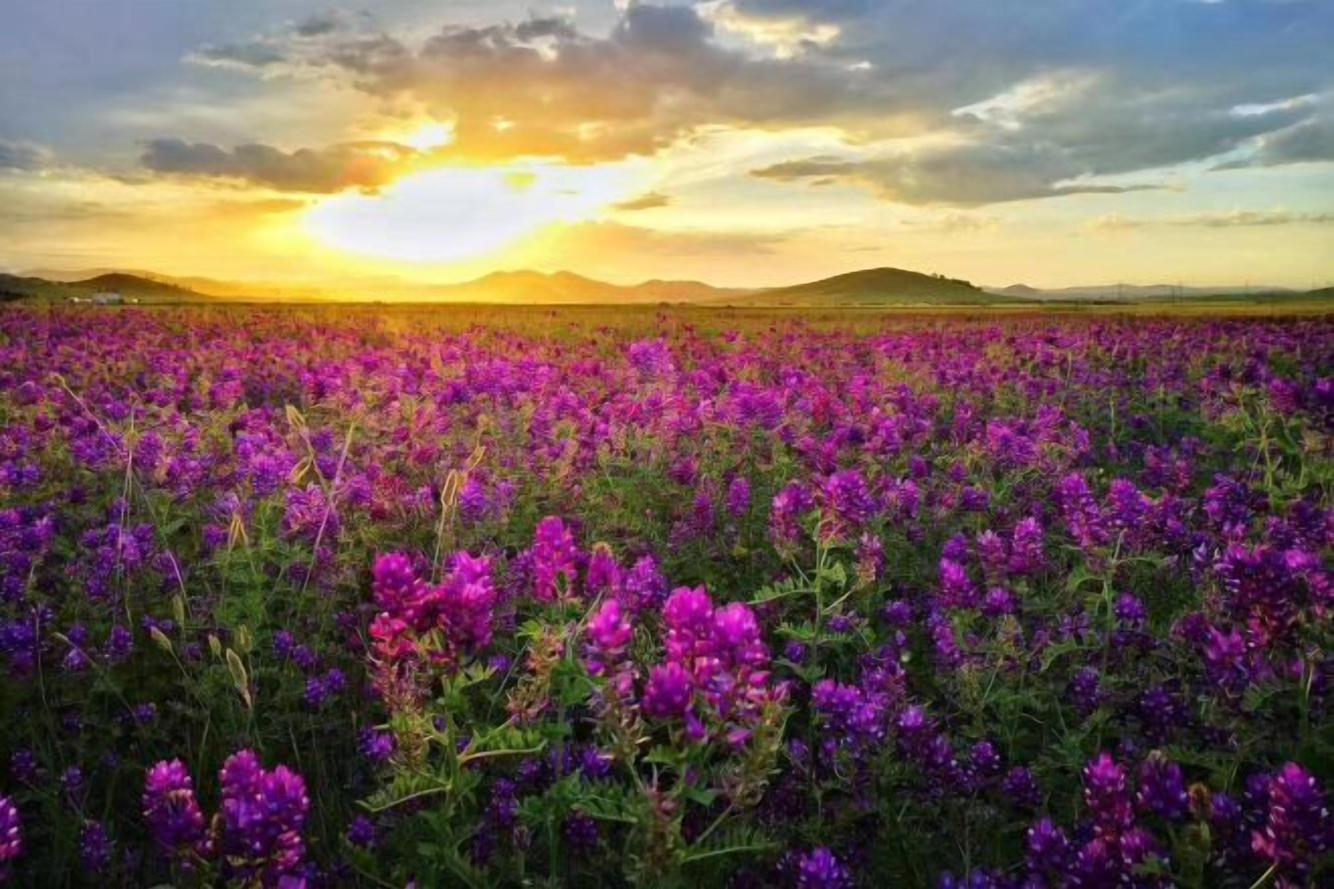 Vista dalla struttura