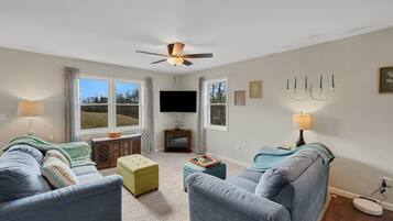 Smart TV, DVD player, books, video library