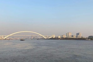 صورة غير مصنفة، 3 من 20، زرّ