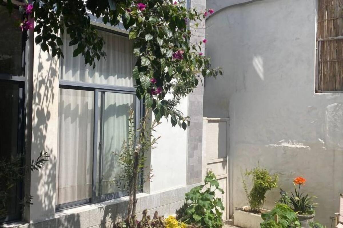 A building with a large window, a small garden area with potted plants, and a wall with a textured surface.