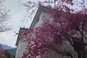 Exterior detail - FANMU GUESTHOUSE (Dali City)