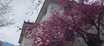 FANMU GUESTHOUSE