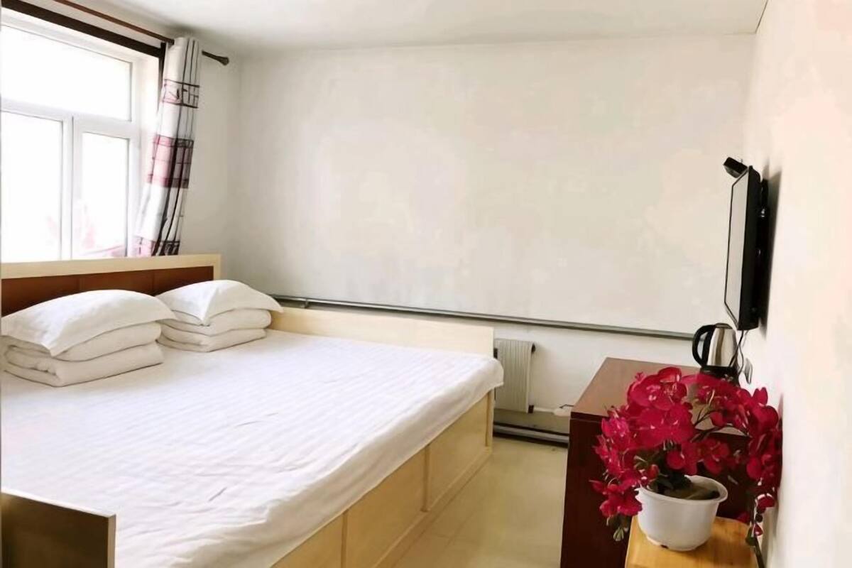 Ein Schlafzimmer mit Bett, Kissen, Heizkörper, einem Fenster mit Vorhängen, einem Nachttisch mit Pflanze und einem an der Wand befestigten Telefon.