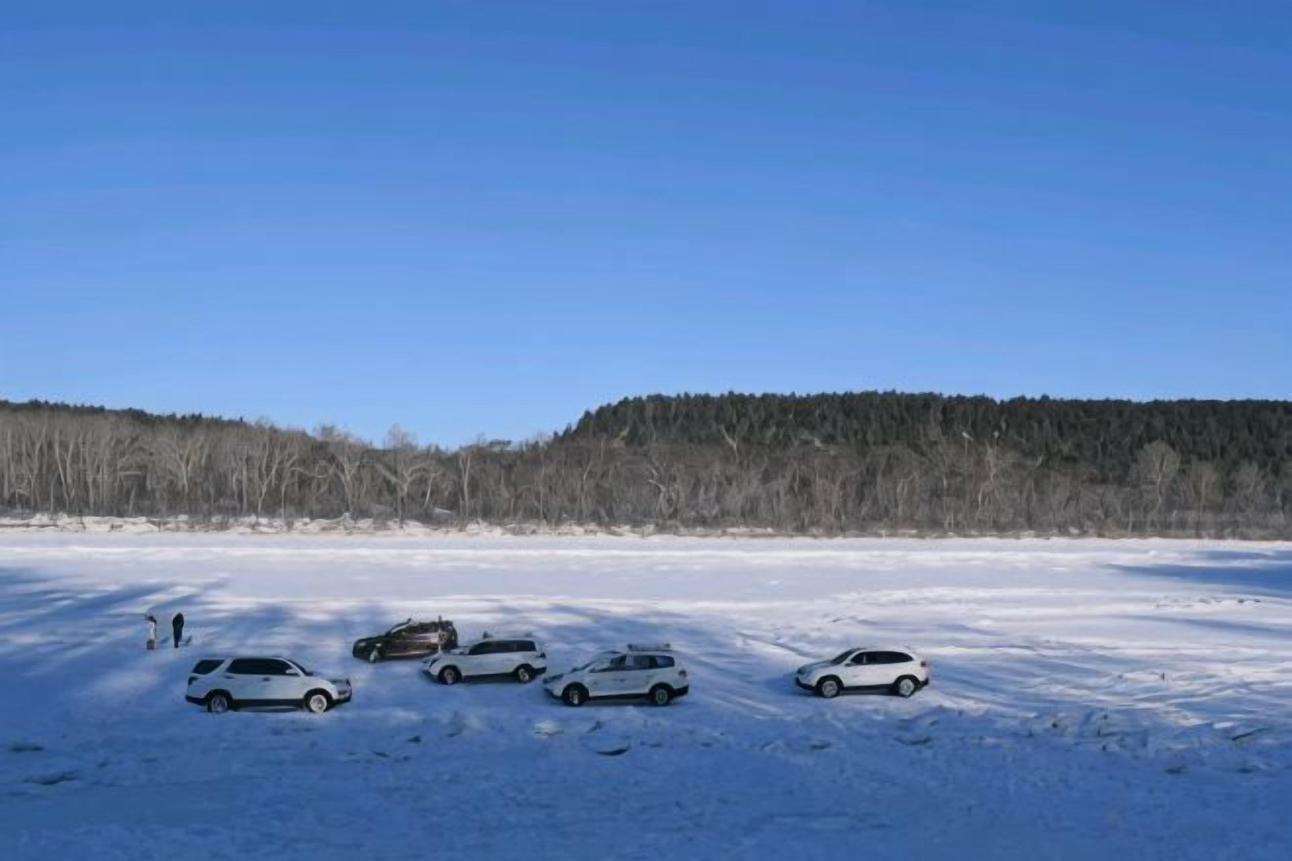 Un grupo de coches estacionados en un campo cubierto de nieve con un bosque al fondo.