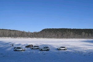 Un grupo de coches estacionados en un campo cubierto de nieve con un bosque al fondo.