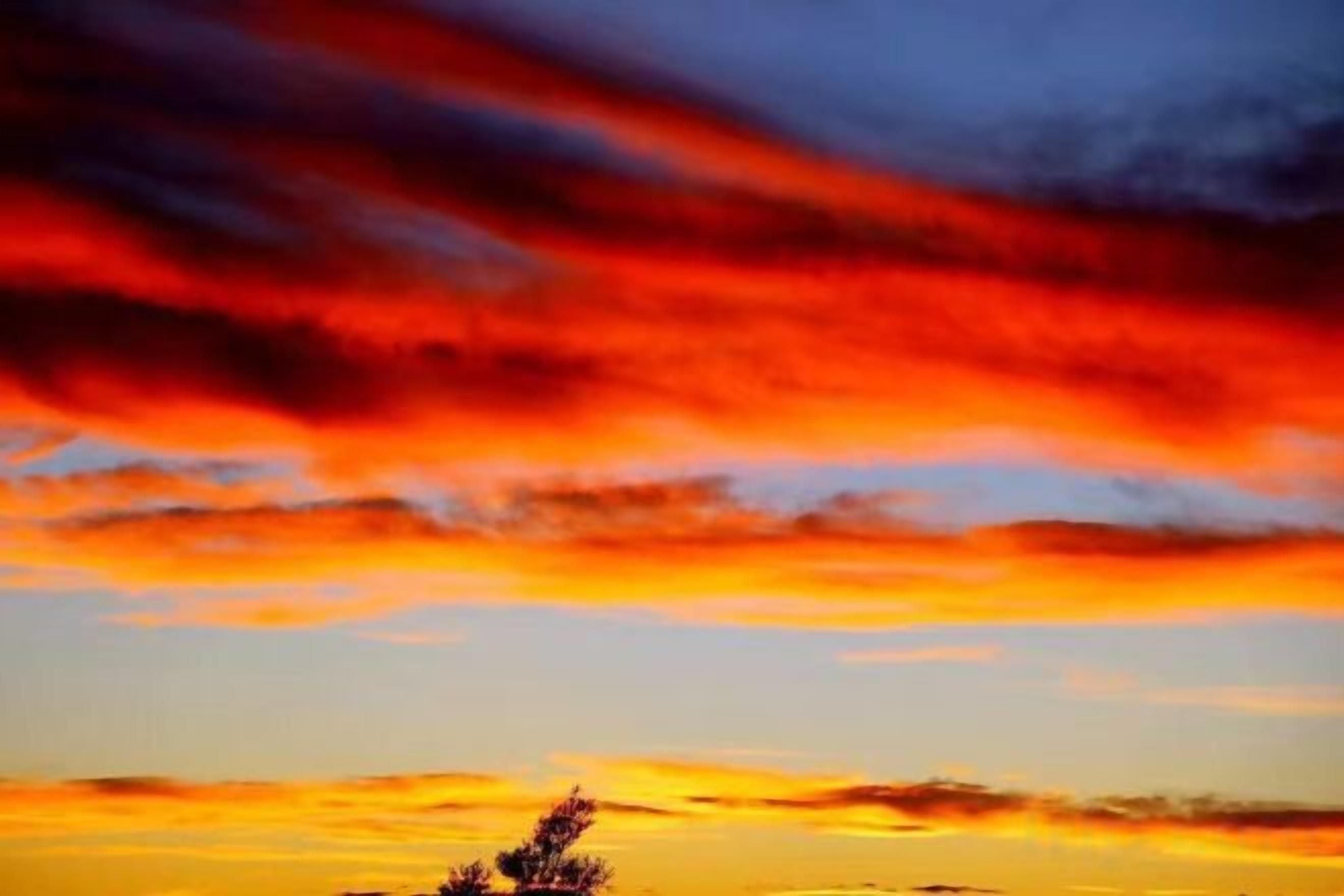 Un atardecer con la silueta de un árbol contra un cielo vibrante.