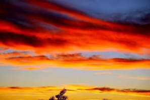 Un coucher de soleil avec la silhouette d’un arbre se détachant sur un ciel aux couleurs éclatantes.