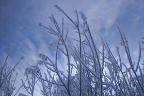 A view of bare tree branches against a cloudy sky. - Laocunzhang Farmhouse (Mohe)