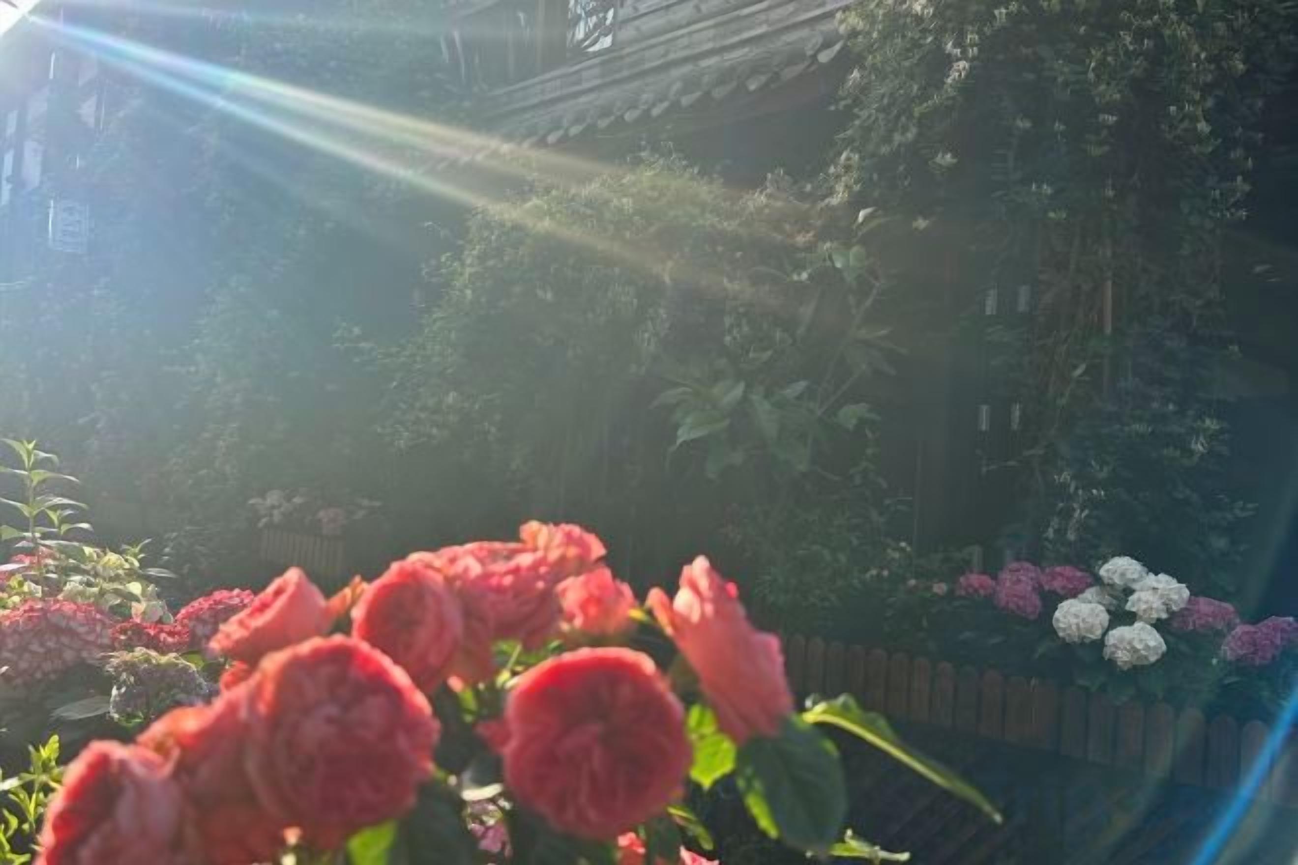 Un jardín con flores y una valla de madera.