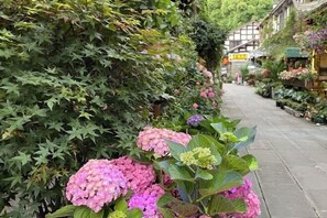 Taman
