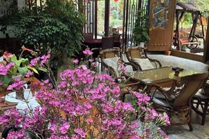 A room with a glass table, wooden chairs, and a large potted plant with pink flowers.