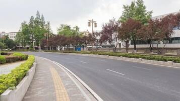 A wide, empty road with a sidewalk on one side and trees lining the other.