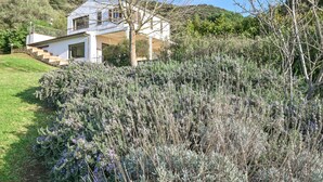 Une maison moderne dotée d’un balcon, entourée d’une végétation luxuriante et avec une colline en arrière-plan.
