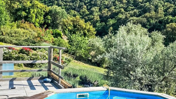 Une piscine avec une terrasse en bois, entourée d’une végétation luxuriante et avec une montagne en toile de fond.