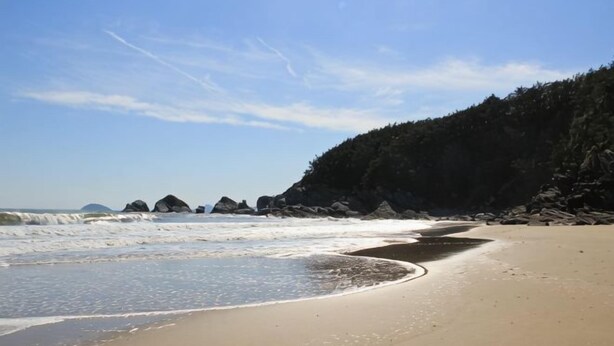 A beach with a sandy shore, waves, and a forested cliff.
