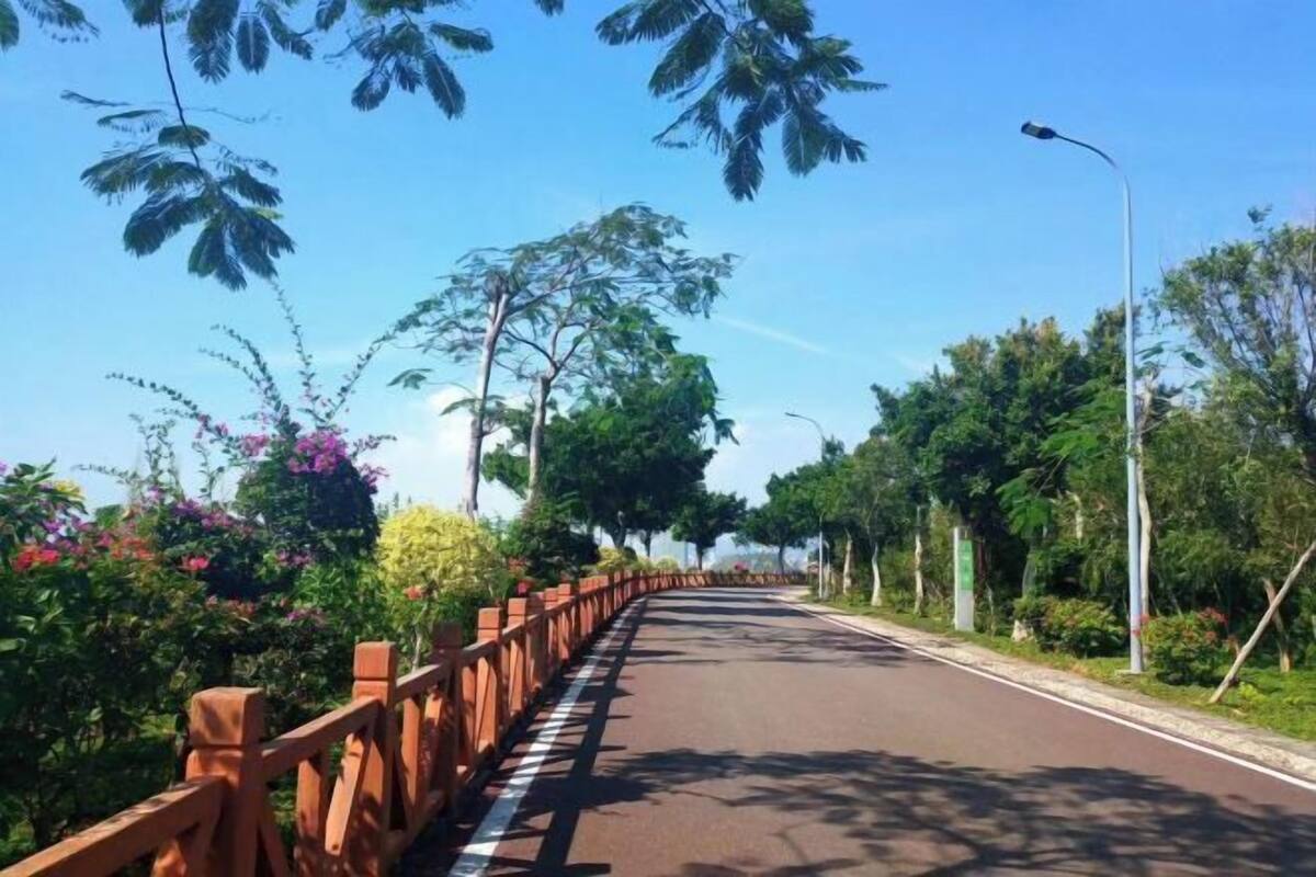 A paved road with a wooden guardrail, surrounded by lush greenery and trees.