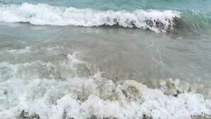 Una playa con olas rompiendo sobre la orilla.