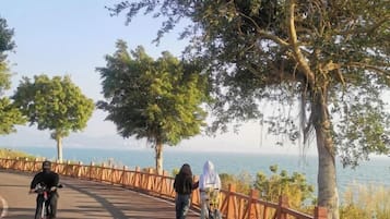 A paved pathway with a wooden railing, trees, and a view of the sea.