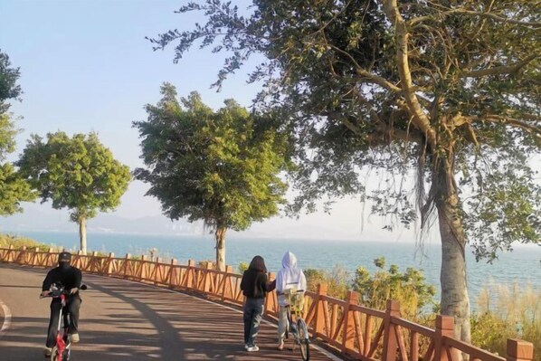 Un sentier pavé bordé d’une rambarde en bois, avec des arbres et une vue sur la mer.