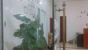 Zona de recepción con mampara de vidrio, planta en maceta, banca de madera, lámpara fijada a la pared y pared con un adhesivo de pájaro.