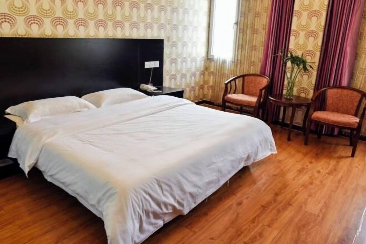 Habitación de hotel con una cama grande, una mesita de noche, dos sillas, una pequeña mesa y una planta en maceta.