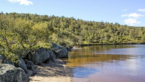 A natural landscape with a sandy beach, large rocks, and dense forest.