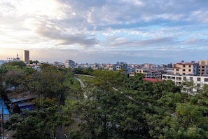 기타
